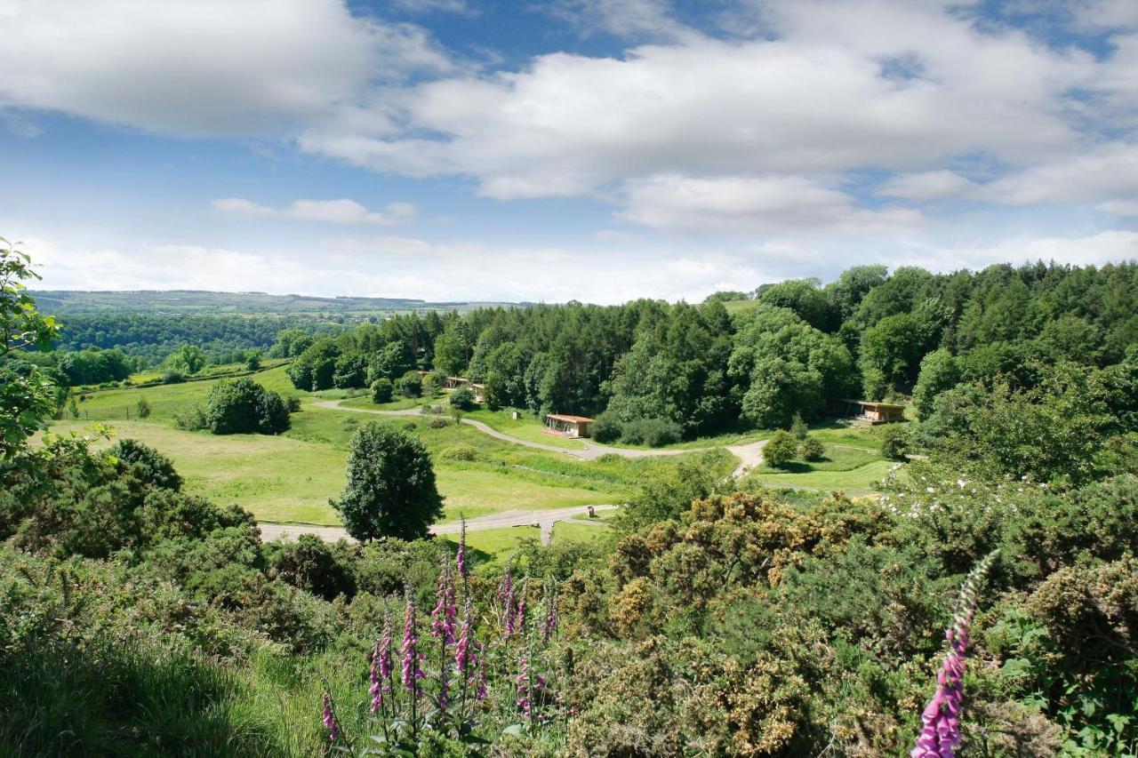 Yorkshire Dales Lodge 4 Family 3 Bed Richmond  Kültér fotó